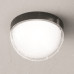 Потолочный светильник Outdoor O438CL-L12GF3K
