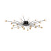 Потолочный светильник Freya FR5242CL-24B
